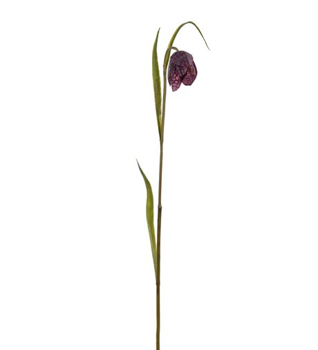 Frittilaria / Kungsängslilja vinröd konstgjord 35cm
