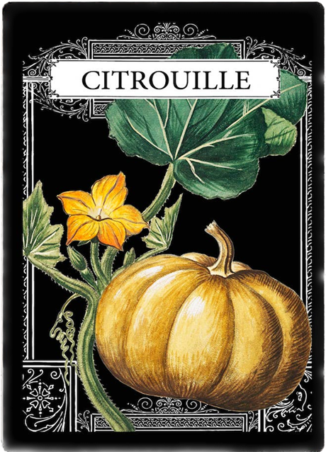 Metallskylt i vintagestil – Citrouille 20x25cm