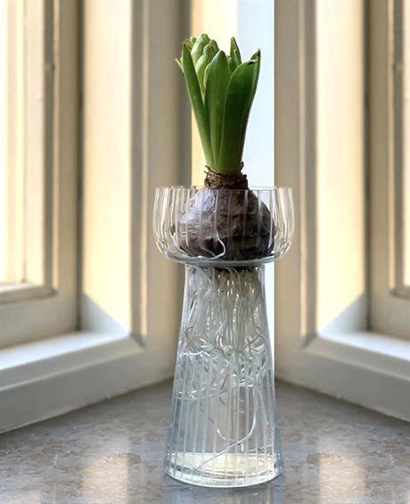 Hyacintvas med etsade ränder, Liten Ø:7,5cm H:15cm