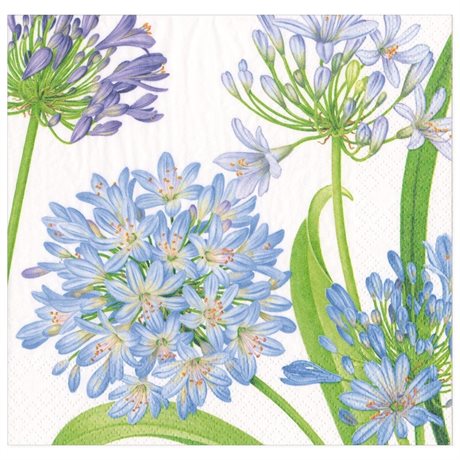 Servetter Middag Agapanthus Garden