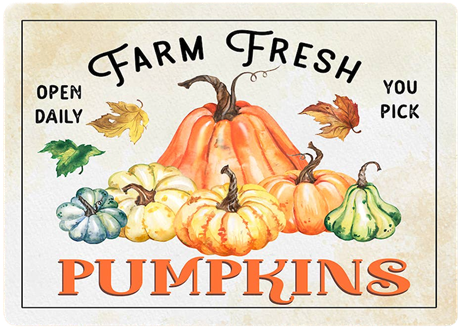 Metallskylt i vintagestil – Farm Fresh Pumpkins 28x41cm