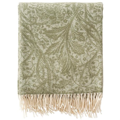 Pläd Klippan pemium i ekologisk merinoull & kashmir i Morris mönster ARCADIA – Oliv 130x180cm 