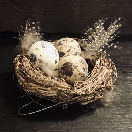 Dekoration – Fågelbo med 3 ägg & fjädrar Ø:8cm 