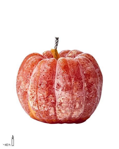 Uteljus / Pumpaljus MÖRKORANGE 10x10cm 50H