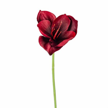 Amaryllis burgundy konstgjord H:40cm