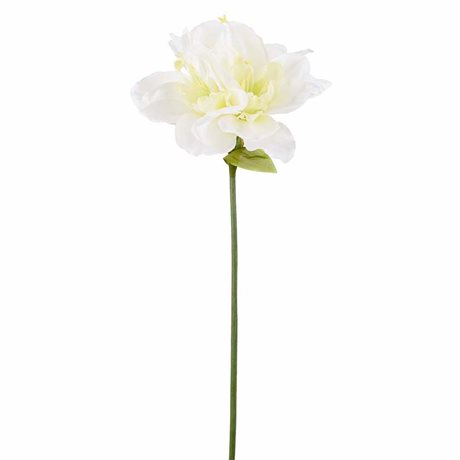 Amaryllis vit med tre blommor konstgjord H:62cm
