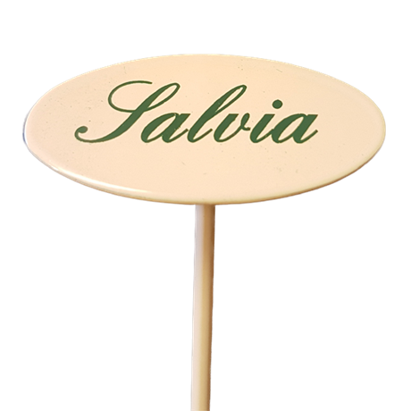 Märkpinne kryddväxt emaljerad gräddvit på spjut – SALVIA 20cm