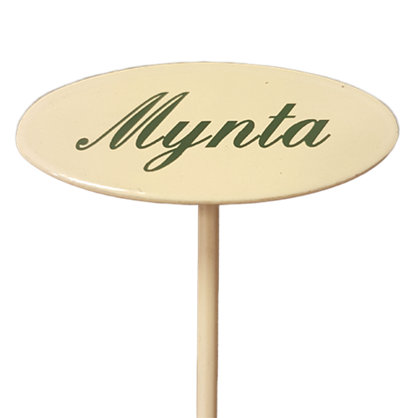 Märkpinne kryddväxt emaljerad gräddvit på spjut – MYNTA 20cm