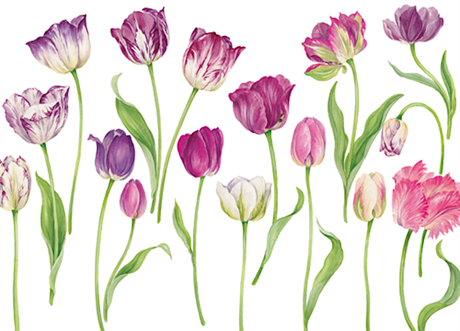 Dubbelt kort m kuvert – Easter Tulips