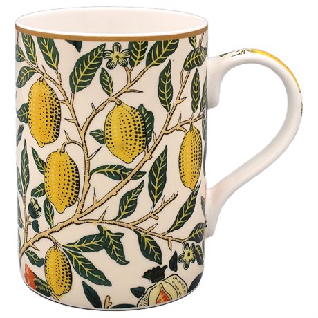 Mugg rak i Morris