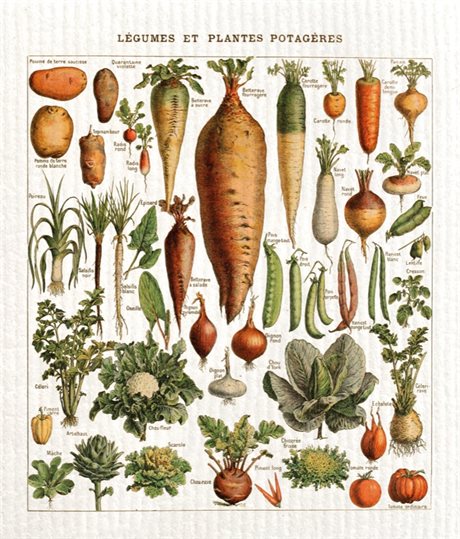 Disktrasa Sköna Ting Vintage – Grönsaker