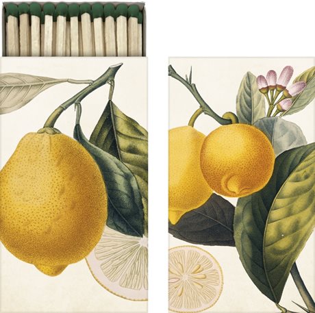 TÄNDSTICKOR VINTAGE Citroner 6x11cm