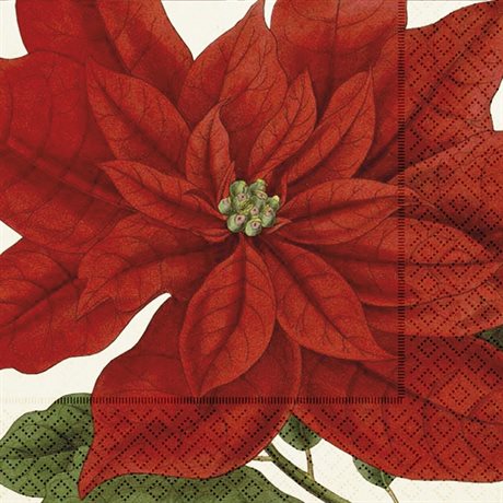 Servetter Lunch Julstjärna Vintage