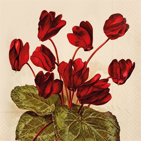 Servetter Lunch Cyklamen Vintage