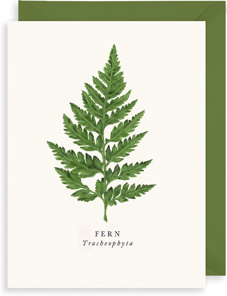Dubbelt kort med kuvert, blank insida – Fern 10x13,5cm