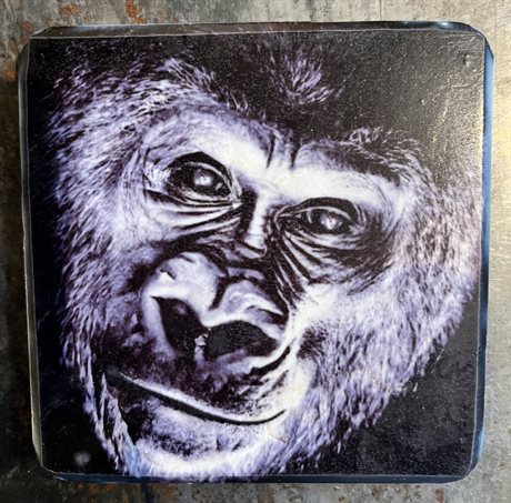 Glasunderlägg – Gorilla