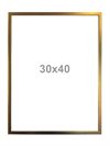 RAM Vanilla Fly – Gold Finish 30x40cm