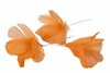Fjädrar Blomma Orange 12-pack