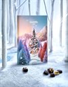 Adventskalender – Lyxig kalender med praliner från Cluizel 273g
