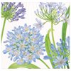 Servetter Middag Agapanthus Garden