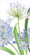Servetter Buffé Agapanthus Garden
