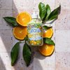 Maioliche Liquid Soap – Ischia 500ml