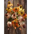 Solhatt konstgjord snittblomma orange 48cm