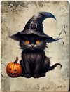 Metallskylt i vintagestil – Black Cat with Halloween Pumpkin 20x25cm