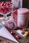 MOOMIN Rose & Raspberry – Mumin jubileum karameller ros & hallon 40g