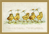 Dubbelt kort m kuvert – Chick Parade