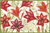 Julkort med kuvert, blank insida – Amaryllis & Conservatory 12x15cm per/st 