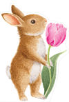 Dubbelt kort m kuvert – Baby Bunny With Tulip utstansad kaninunge