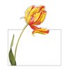 Placeringskort Redoute Floral – utstansad Tulpan 8-pack