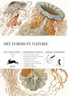 Bok med presentpapper – ART FORMS IN NATURE