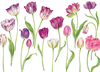 Dubbelt kort m kuvert – Easter Tulips