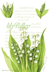 Doftpåse Lily of the Valley / Liljekonvalj