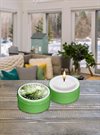 Doftljus Tea Light Daylight®kc – Balsam Fir 12H