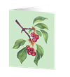 Kort med kuvert – Cherries 9x11cm