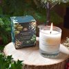 Doftljus – Candle Frosted Fir and Holly 170ml 35H