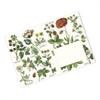20 vackra C6-kuvert med botaniskt motiv